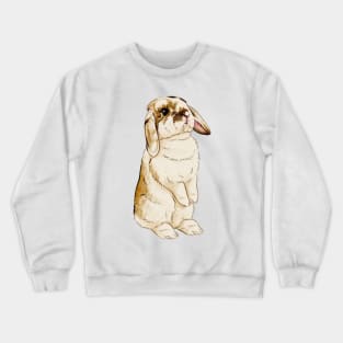 Bryar 2 Crewneck Sweatshirt